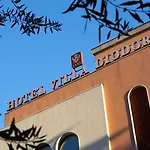 Diodoro 酒店 陶尔米纳